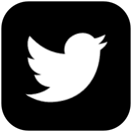 twitter_footer_logo